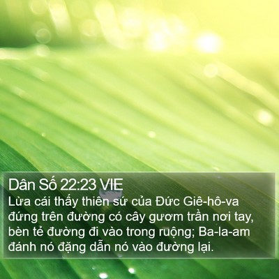 Dân Số 22:23 VIE Bible Verse Image