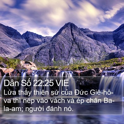 Dân Số 22:25 VIE Bible Verse Image