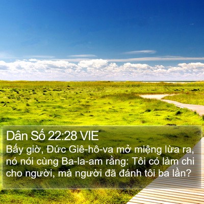 Dân Số 22:28 VIE Bible Verse Image