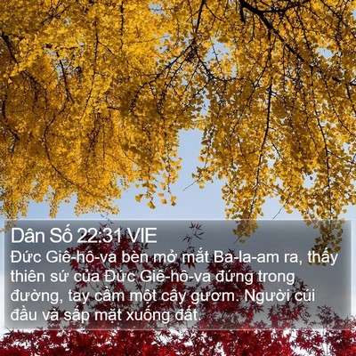 Dân Số 22:31 VIE Bible Verse Image