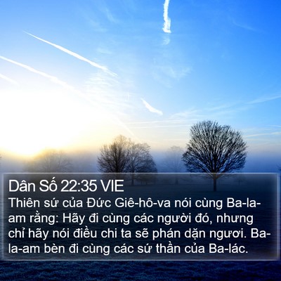 Dân Số 22:35 VIE Bible Verse Image