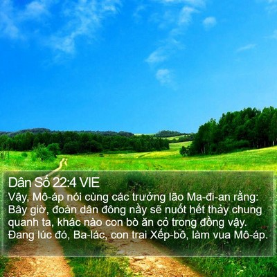 Dân Số 22:4 VIE Bible Verse Image