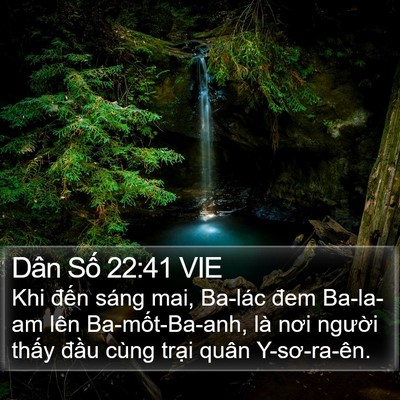 Dân Số 22:41 VIE Bible Verse Image