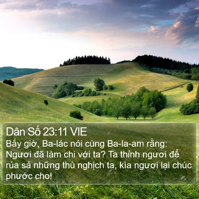Dân Số 23:11 VIE Bible Verse Image