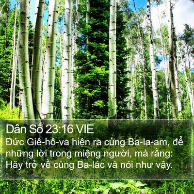 Dân Số 23:16 VIE Bible Verse Image