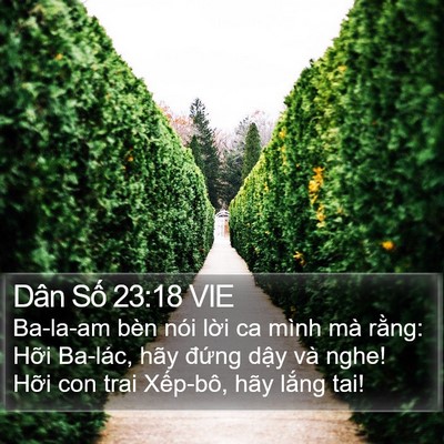 Dân Số 23:18 VIE Bible Verse Image