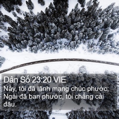 Dân Số 23:20 VIE Bible Verse Image
