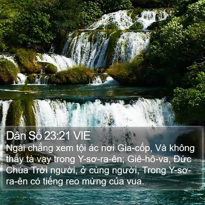 Dân Số 23:21 VIE Bible Verse Image
