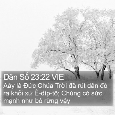 Dân Số 23:22 VIE Bible Verse Image
