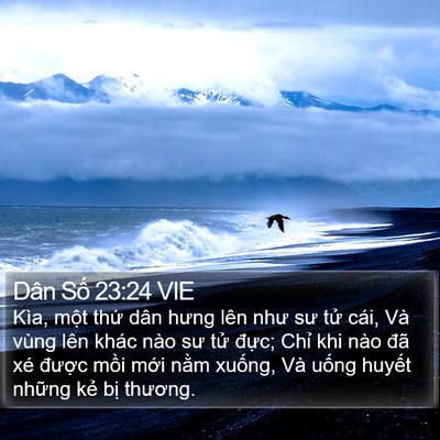 Dân Số 23:24 VIE Bible Verse Image