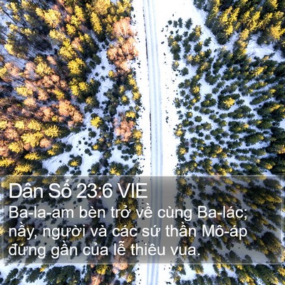 Dân Số 23:6 VIE Bible Verse Image
