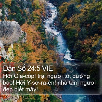 Dân Số 24:5 VIE Bible Verse Image