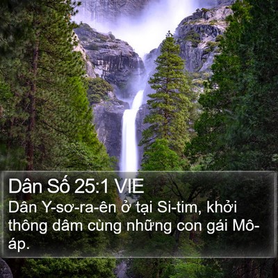 Dân Số 25:1 VIE Bible Verse Image