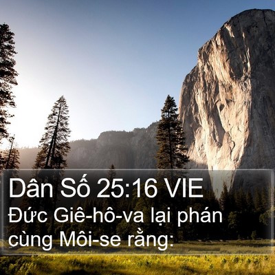 Dân Số 25:16 VIE Bible Verse Image
