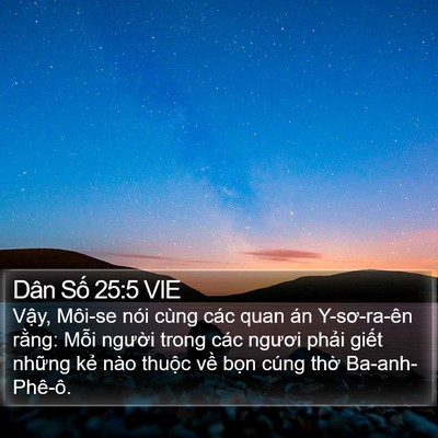 Dân Số 25:5 VIE Bible Verse Image