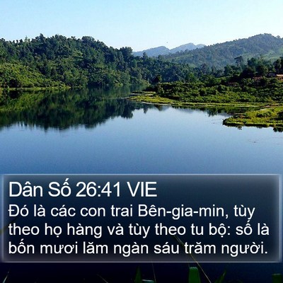 Dân Số 26:41 VIE Bible Verse Image
