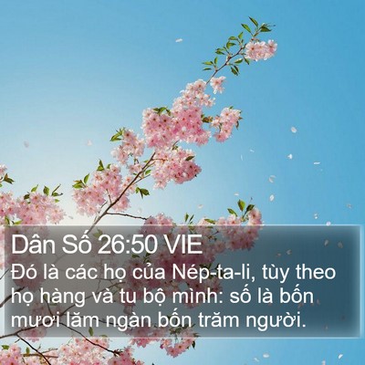 Dân Số 26:50 VIE Bible Verse Image