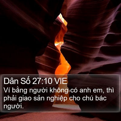 Dân Số 27:10 VIE Bible Verse Image