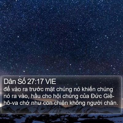 Dân Số 27:17 VIE Bible Verse Image