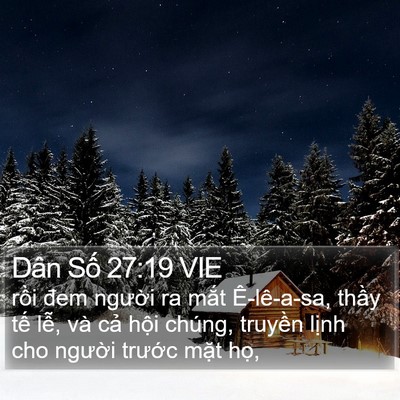 Dân Số 27:19 VIE Bible Verse Image