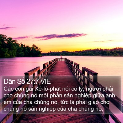 Dân Số 27:7 VIE Bible Verse Image