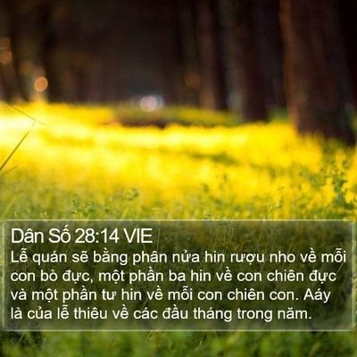 Dân Số 28:14 VIE Bible Verse Image