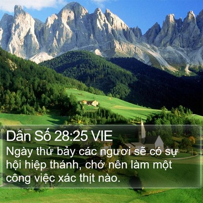Dân Số 28:25 VIE Bible Verse Image