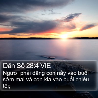 Dân Số 28:4 VIE Bible Verse Image