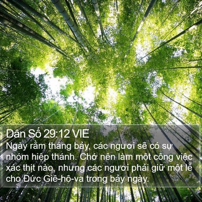 Dân Số 29:12 VIE Bible Verse Image