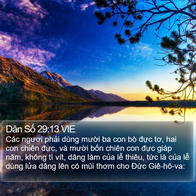 Dân Số 29:13 VIE Bible Verse Image