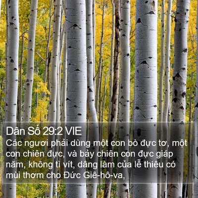 Dân Số 29:2 VIE Bible Verse Image