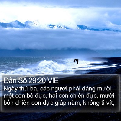 Dân Số 29:20 VIE Bible Verse Image