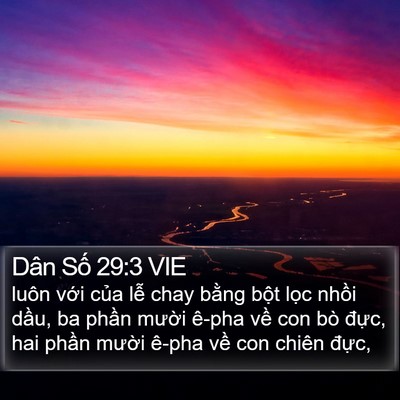 Dân Số 29:3 VIE Bible Verse Image