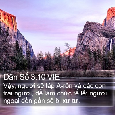 Dân Số 3:10 VIE Bible Verse Image