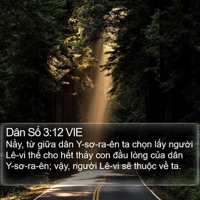 Dân Số 3:12 VIE Bible Verse Image