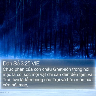 Dân Số 3:25 VIE Bible Verse Image