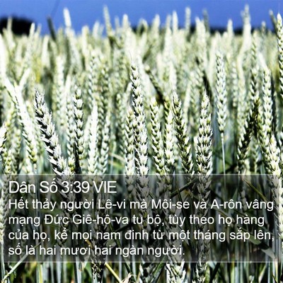 Dân Số 3:39 VIE Bible Verse Image