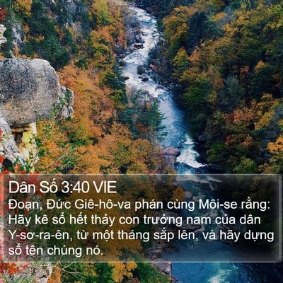 Dân Số 3:40 VIE Bible Verse Image