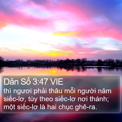 Dân Số 3:47 VIE Bible Verse Image