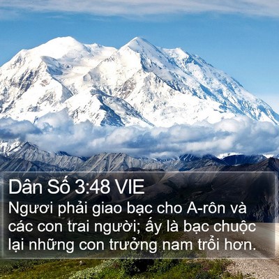 Dân Số 3:48 VIE Bible Verse Image