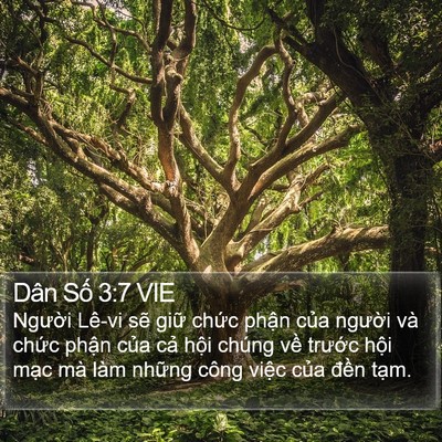 Dân Số 3:7 VIE Bible Verse Image