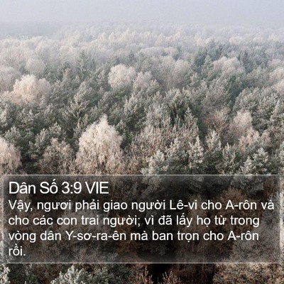 Dân Số 3:9 VIE Bible Verse Image