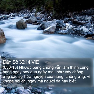 Dân Số 30:14 VIE Bible Verse Image