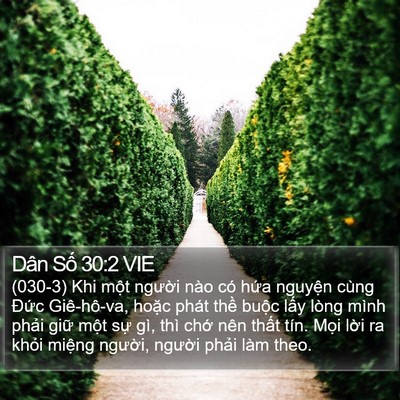 Dân Số 30:2 VIE Bible Verse Image