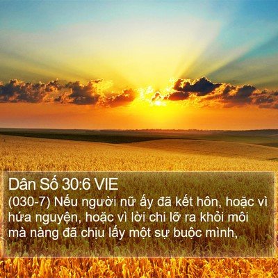 Dân Số 30:6 VIE Bible Verse Image