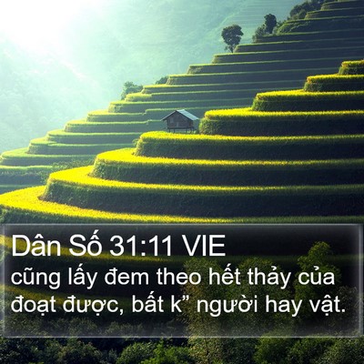 Dân Số 31:11 VIE Bible Verse Image