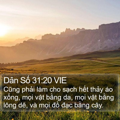 Dân Số 31:20 VIE Bible Verse Image