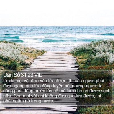 Dân Số 31:23 VIE Bible Verse Image