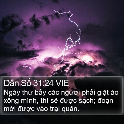 Dân Số 31:24 VIE Bible Verse Image