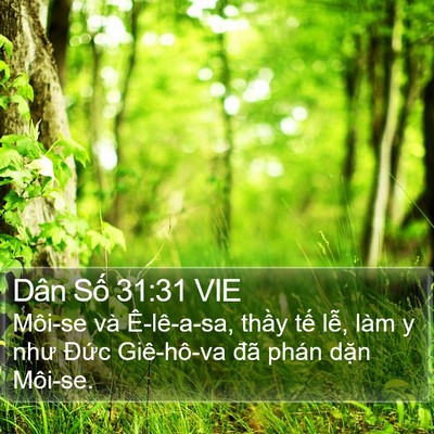 Dân Số 31:31 VIE Bible Verse Image